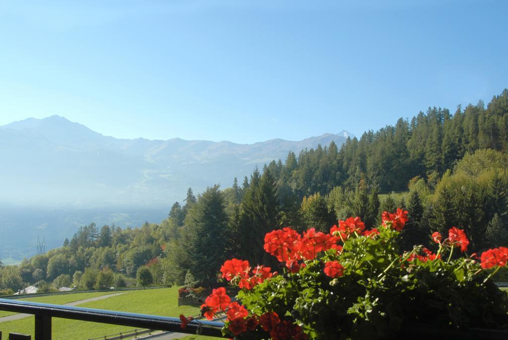 Agriturismo Plan D'Avie Aosta Room photo